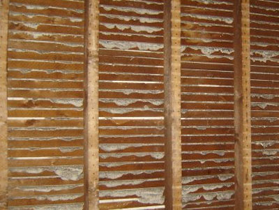 plaster and lath walls